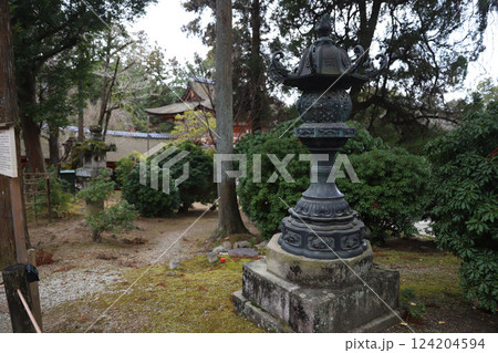 春日大社　奈良県　奈良市 春日野町 124204594