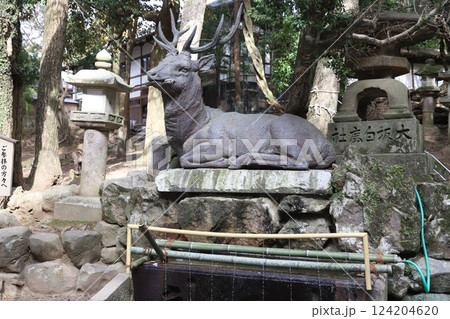 春日大社 奈良県 奈良市 春日野町 春日大社 奈良県 奈良市 春日野町 124204620