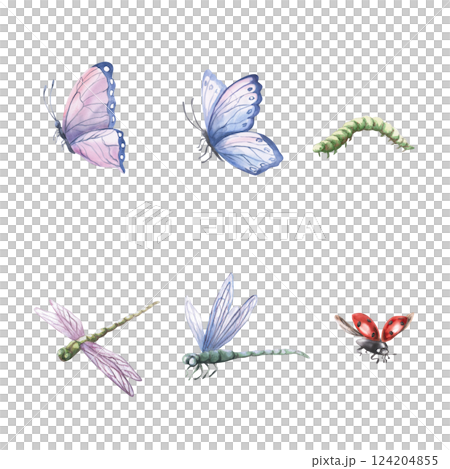 Set of insects butterflies, dragonflies, ladybug. Isolated watercolor illustration for postcards, holidays, printing on clothes, fabric, posters. Set of insects butterflies, dragonflies, ladybug. Isolated watercolor illustration for postcards, holidays, printing on clothes, fabric, posters. 124204855