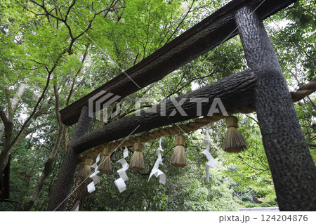 宮神社 ののみやじんじゃ 京都 嵐山 嵯峨野 宮神社 ののみやじんじゃ 京都 嵐山 嵯峨野 124204876