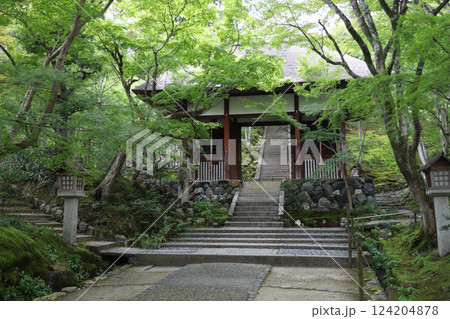 常寂光寺　京都　嵯峨野　嵐山 124204878