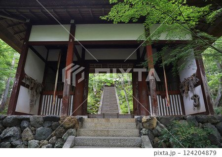 常寂光寺　京都　嵯峨野　嵐山 124204879