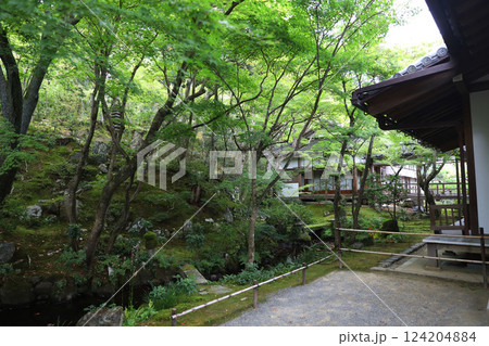 常寂光寺 京都 嵯峨野 嵐山 常寂光寺 京都 嵯峨野 嵐山 124204884