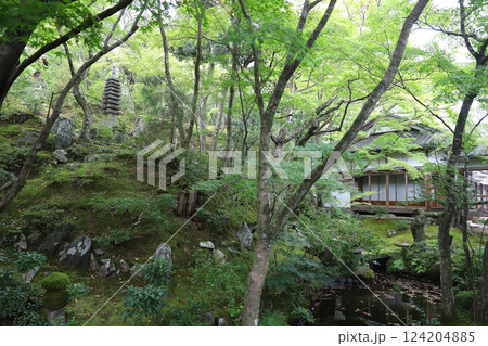 常寂光寺　京都　嵯峨野　嵐山 124204885