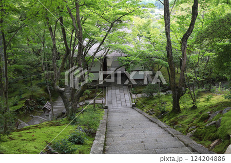 常寂光寺　京都　嵯峨野　嵐山 124204886