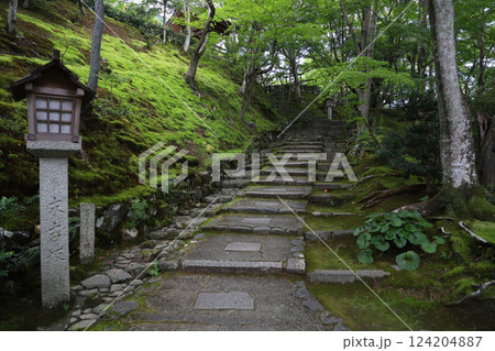 常寂光寺　京都　嵯峨野　嵐山 124204887