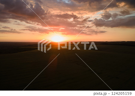 Aerial landscape view of yellow cultivated agricultural field with ripe wheat on vibrant summer evening 124205159