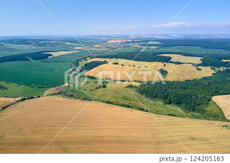 Aerial landscape view of yellow cultivated agricultural field with ripe wheat on bright summer day 124205163
