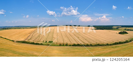 Aerial landscape view of yellow cultivated agricultural field with ripe wheat on bright summer day 124205164