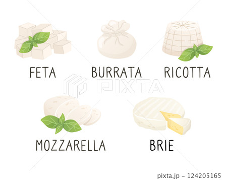 Set of different types of cheese. Feta, Burrata, Ricotta. Mozzarella, Brie. Cartoon icons collection. Vector illustration 124205165
