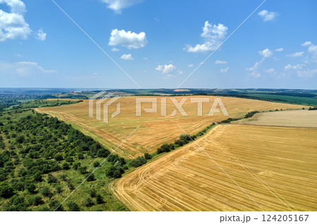 Aerial landscape view of yellow cultivated agricultural field with dry straw of cut down wheat after harvesting 124205167
