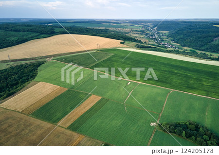 Aerial landscape view of green and yellow cultivated agricultural fields with growing crops on bright summer day 124205178