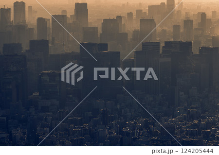 Tokyo skyline covered in thick mist at sunset forming a graphic composition of highrise silhouettes 124205444