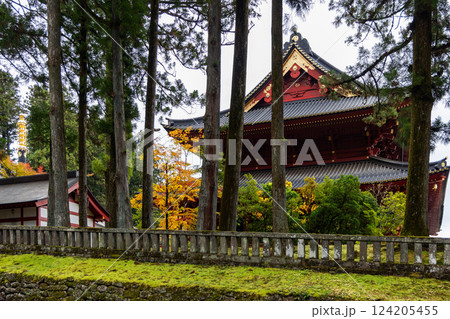Rinnoji Temple in Sannai Nikko Japan partially hidden behind tall cedar trees Rinnoji Temple in Sannai Nikko Japan partially hidden behind tall cedar trees 124205455