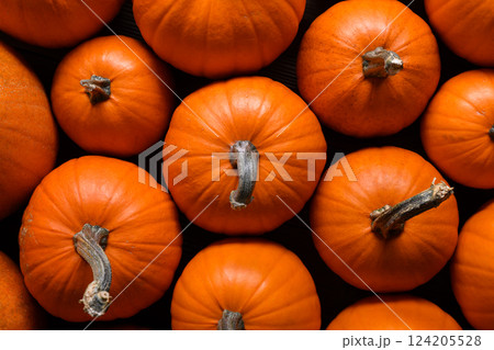 Top view of orange pumpkins close up 124205528