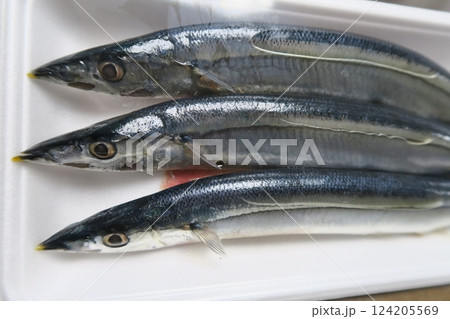 パックに入った秋刀魚 パックに入った秋刀魚 124205569