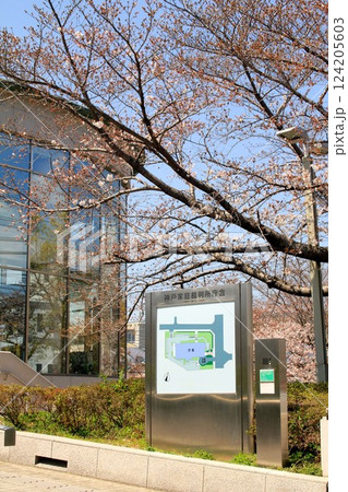 神戸家庭裁判所 神戸家庭裁判所 124205603