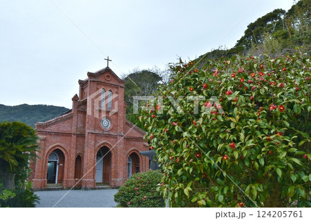 椿が見頃の堂崎天主堂　長崎 124205761