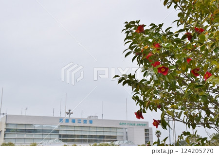 椿が見頃の五島福江空港 長崎 椿が見頃の五島福江空港 長崎 124205770