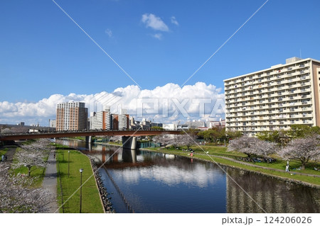 晴天の小松川千本桜　東京 124206026