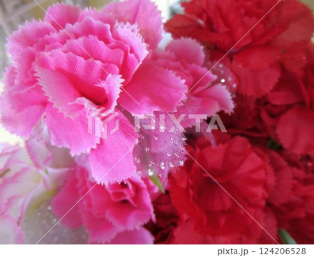 カーネーションの造花 カーネーションの造花 124206528