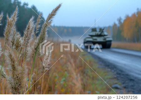 Military vehicles on the road in forest, grass on a foreground 124207256
