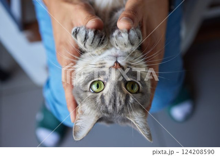 young man holding and petting cute cat male 124208590