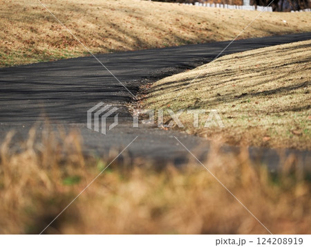 曲がりくねった舗装路と枯れ草の丘の風景 124208919