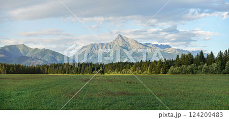 Summer meadow panorama, with forest and mount Krivan (Slovak symbol) peak in distance, afternoon clouds above 124209483