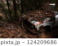 自然に還る廃車 124209686