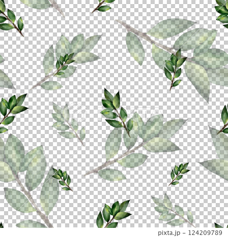 Watercolor seamless pattern with green twigs with leaves. Botanical illustration, isolated on white background. For textile, print, tablecloth, invitations, curtains Watercolor seamless pattern with green twigs with leaves. Botanical illustration, isolated on white background. For textile, print, tablecloth, invitations, curtains 124209789