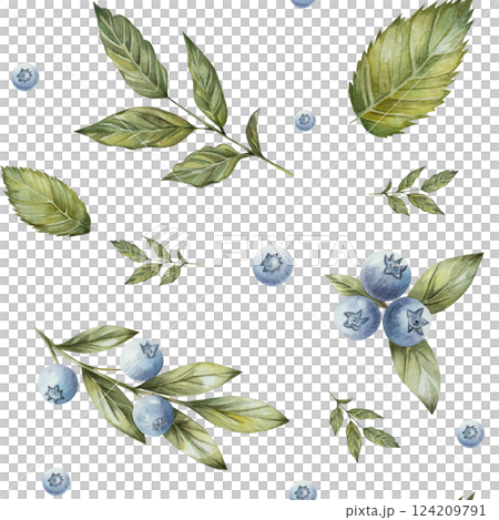 Blueberry. seamless pattern with watercolor blueberries and twigs with green leaves. Hand drawn, isolated on a white background. For print, cards, textiles, kitchen, invitations. 124209791