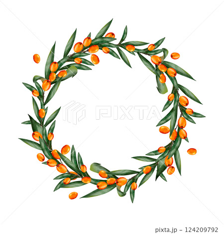 Sea buckthorn. Berries with leaves. Hand drawn watercolor illustration. Round frame with place for text. Botanical. Isolated on white background. Template for design, print, textile 124209792