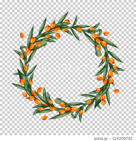 Sea buckthorn. Berries with leaves. Hand drawn watercolor illustration. Round frame with place for text. Botanical. Isolated on white background. Template for design, print, textile 124209792