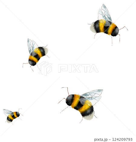 Bumblebee. Seamless watercolor pattern, hand drawn in a realistic style. White background. Botanical illustration for textile, greeting card, stationary wedding, home decor Bumblebee. Seamless watercolor pattern, hand drawn in a realistic style. White background. Botanical illustration for textile, greeting card, stationary wedding, home decor 124209793