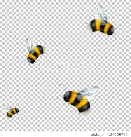 Bumblebee. Seamless watercolor pattern, hand drawn in a realistic style. White background. Botanical illustration for textile, greeting card, stationary wedding, home decor 124209793