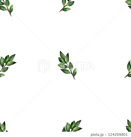 Watercolor seamless pattern with green twigs with leaves. Botanical illustration, isolated on white background. For textile, print, tablecloth, invitations, curtains Watercolor seamless pattern with green twigs with leaves. Botanical illustration, isolated on white background. For textile, print, tablecloth, invitations, curtains 124209801