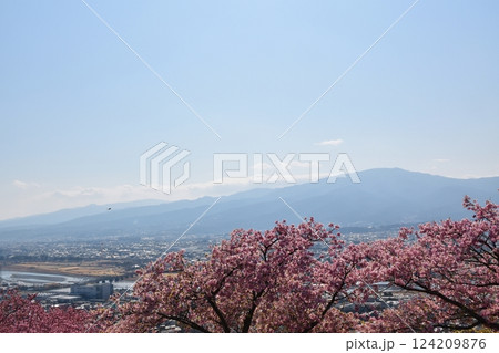 まつだ桜まつりの会場から 神奈川 まつだ桜まつりの会場から 神奈川 124209876