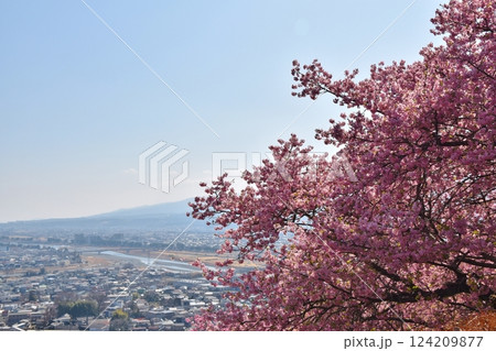 まつだ桜まつりの会場から　神奈川 124209877