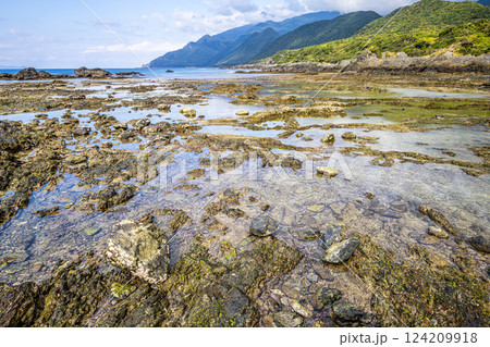 秋の栗生海岸　隆起サンゴ礁　屋久島国立公園 124209918