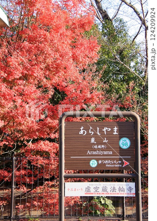 京都の紅葉　嵐山　渡月橋　天龍寺 124209924