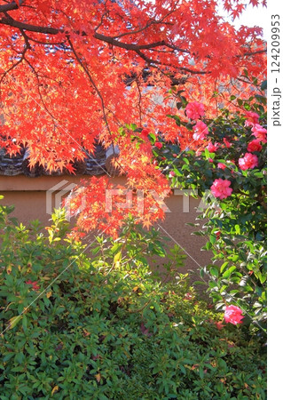 京都の紅葉　嵐山　渡月橋　天龍寺 124209953