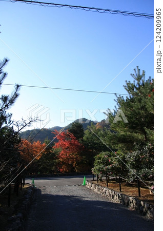 京都の紅葉 嵐山 渡月橋 天龍寺 京都の紅葉 嵐山 渡月橋 天龍寺 124209965