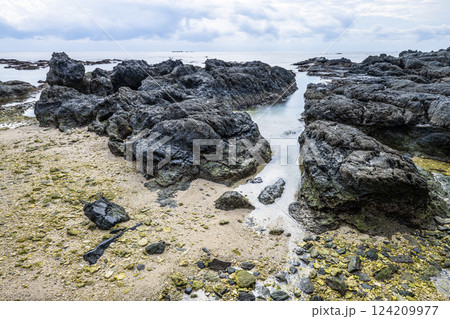 秋の栗生海岸　屋久島国立公園 124209977
