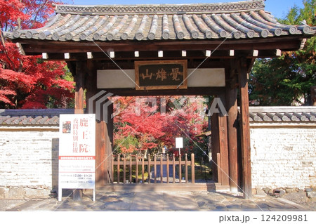 京都の紅葉 紅葉の名所 紅葉の穴場 鹿王院 京都の紅葉 紅葉の名所 紅葉の穴場 鹿王院 124209981