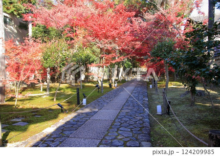 京都の紅葉 紅葉の名所 紅葉の穴場 鹿王院 京都の紅葉 紅葉の名所 紅葉の穴場 鹿王院 124209985