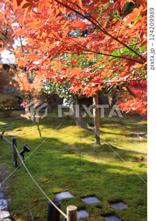京都の紅葉 紅葉の名所 紅葉の穴場 鹿王院 京都の紅葉 紅葉の名所 紅葉の穴場 鹿王院 124209989