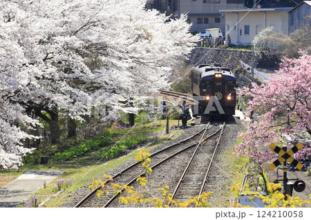 春のわたらせ渓谷鉄道 春のわたらせ渓谷鉄道 124210058