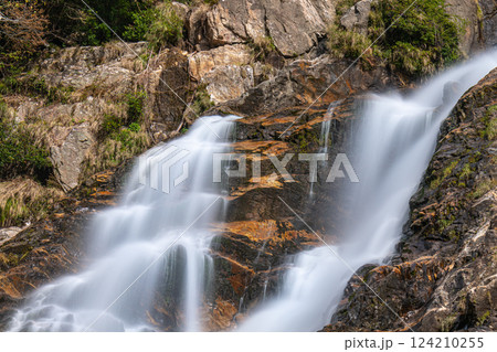 優雅　日本の滝百選大川の滝　屋久島国立公園(秋 124210255