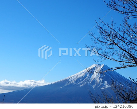 三ツ峠から富士山 三ツ峠から富士山 124210380